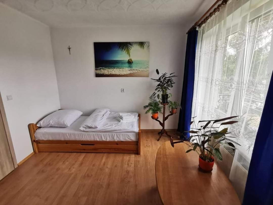 Pokoje Goscinne U Marysi Nowy Sacz Ngoại thất bức ảnh